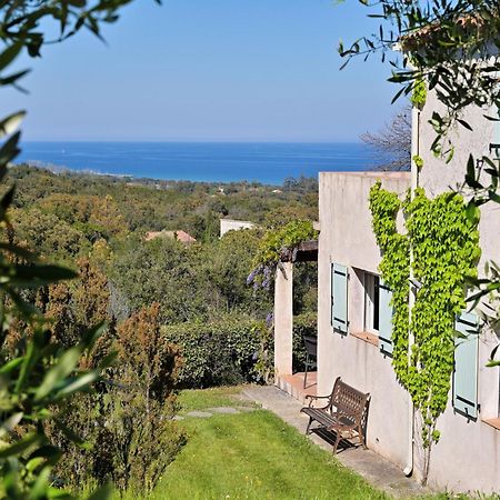 Domaine Punta Della Guardia Villa Vue Mer Dans Nature Protegee, Plage A 1,5 Km Cervione Exterior photo